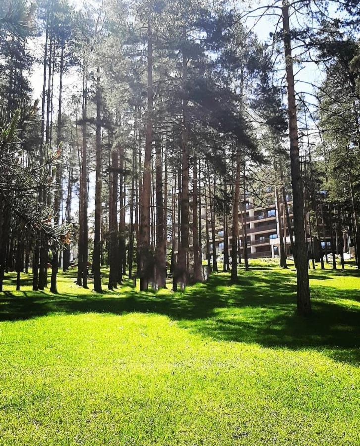 Panorama Lux Apartmani Vila Pekovic Zlatibor Exterior photo